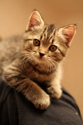 Similar image 22209089