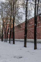 Similar image 22209498