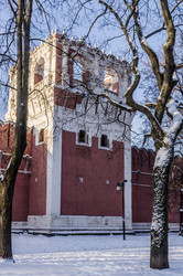 Similar image 22209504