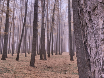 Similar image 22208754