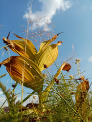 Similar image 22208755