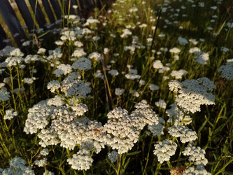 Similar image 22208756