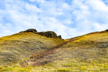 Similar image 22208872