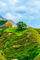 Similar image 22208885