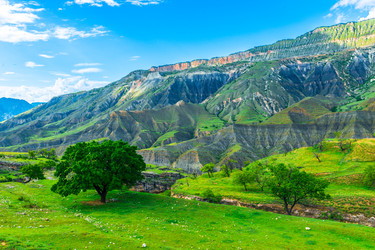 Similar image 22208888