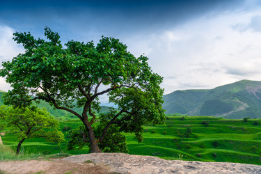 Similar image 22208897