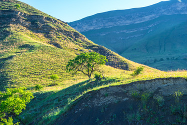 Similar image 22208905