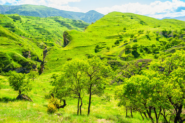 Similar image 22208916