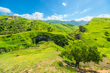 Similar image 22208917