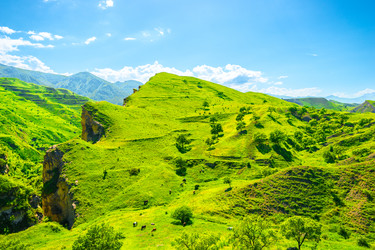 Similar image 22208918