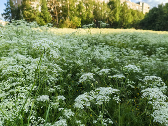 Similar image 22208604