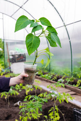 Similar image 22210507