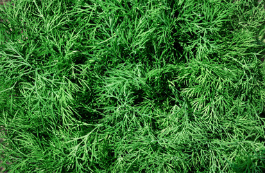 Similar image 22210508