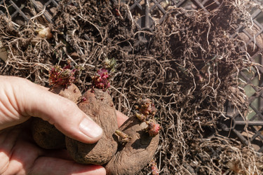 Similar image 22210509