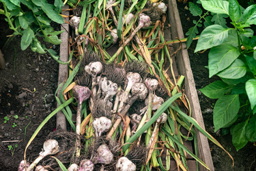 Similar image 22210510