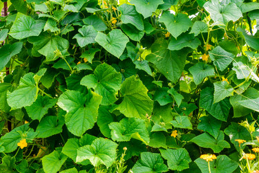 Similar image 22210511