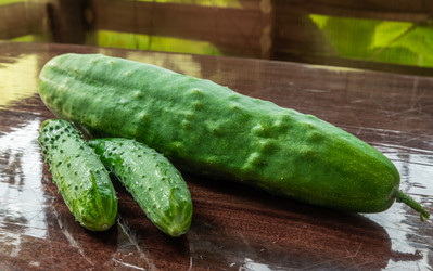 Similar image 22210512