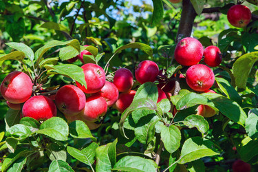 Similar image 22210513