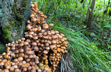 Similar image 22210514