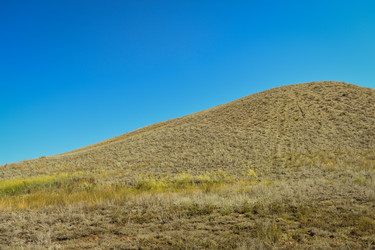 Similar image 22208762