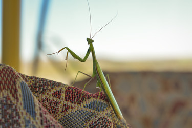 Similar image 22208765