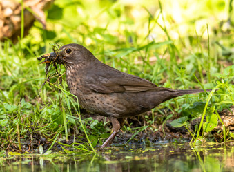 Similar image 22208931