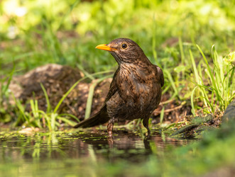 Similar image 22208932