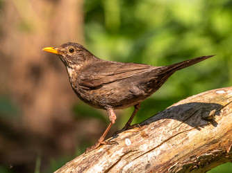 Similar image 22208933