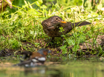 Similar image 22208934