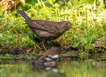 Similar image 22208935