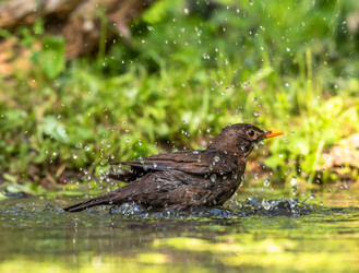 Similar image 22208936