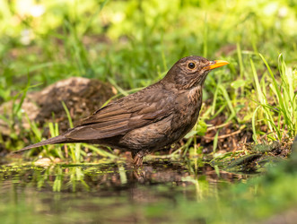 Similar image 22208937