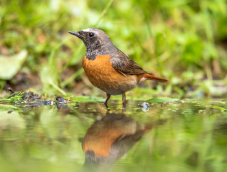 Similar image 22208938