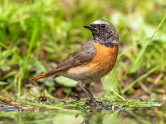 Similar image 22208939