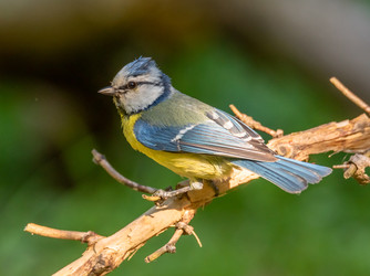 Similar image 22208940