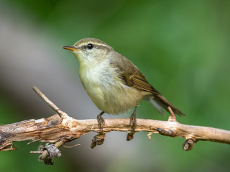 Similar image 22208941