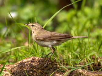 Similar image 22208942