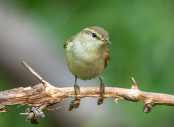 Similar image 22208943