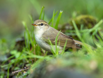 Similar image 22208944