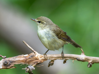 Similar image 22208945