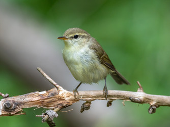 Similar image 22208946