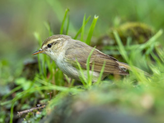 Similar image 22208947