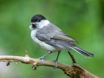 Similar image 22208949