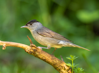 Similar image 22208950