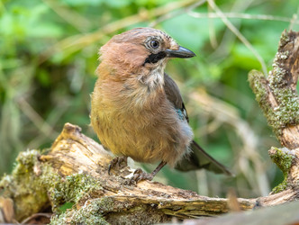 Similar image 22208951