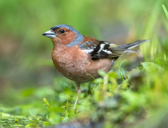 Similar image 22208952