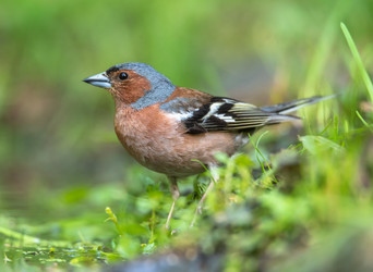 Similar image 22208953