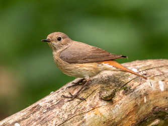 Similar image 22208954