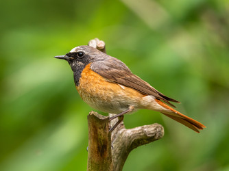 Similar image 22208955