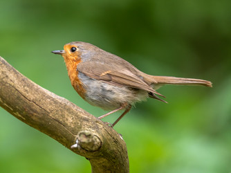 Similar image 22208956